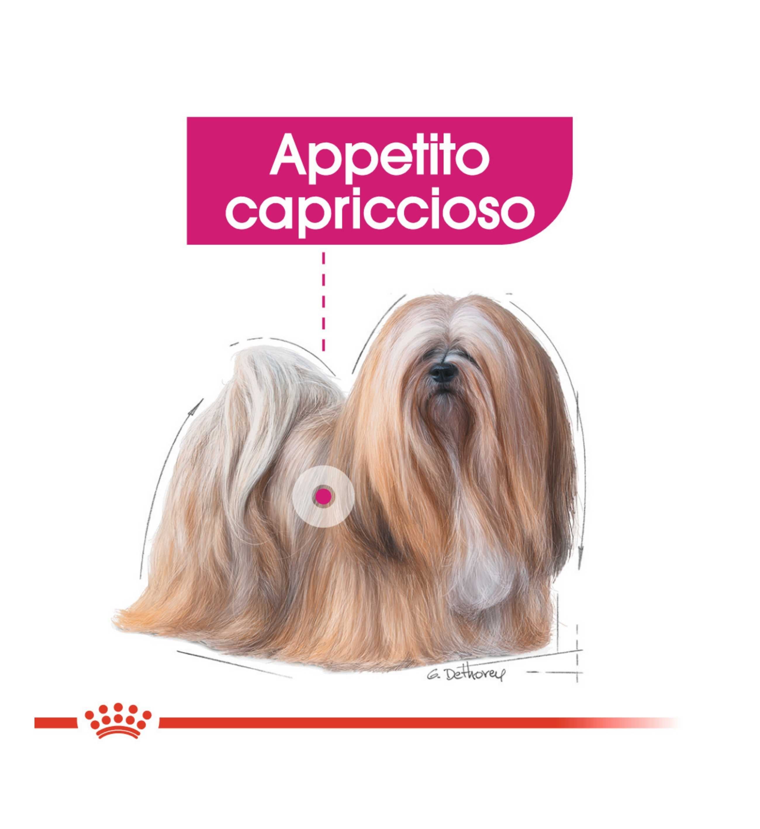ROYAL CANIN CANE MINI EXIGENT