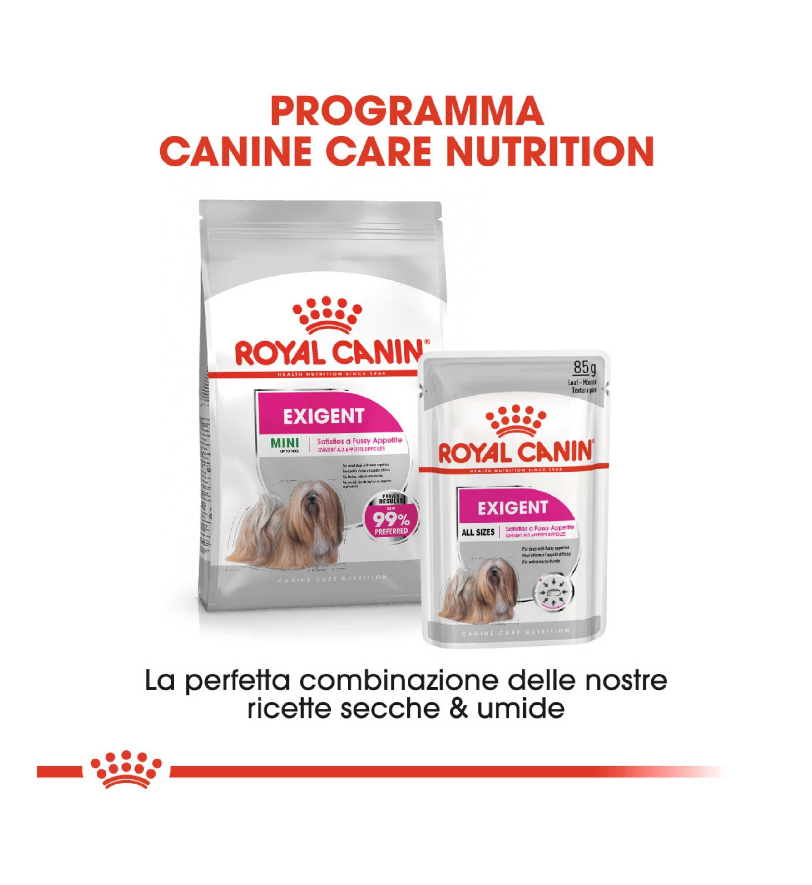 ROYAL CANIN CANE MINI EXIGENT