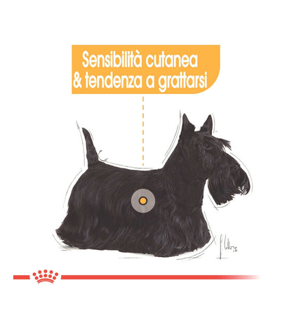 ROYAL CANIN CANE MINI DERMACOMFORT