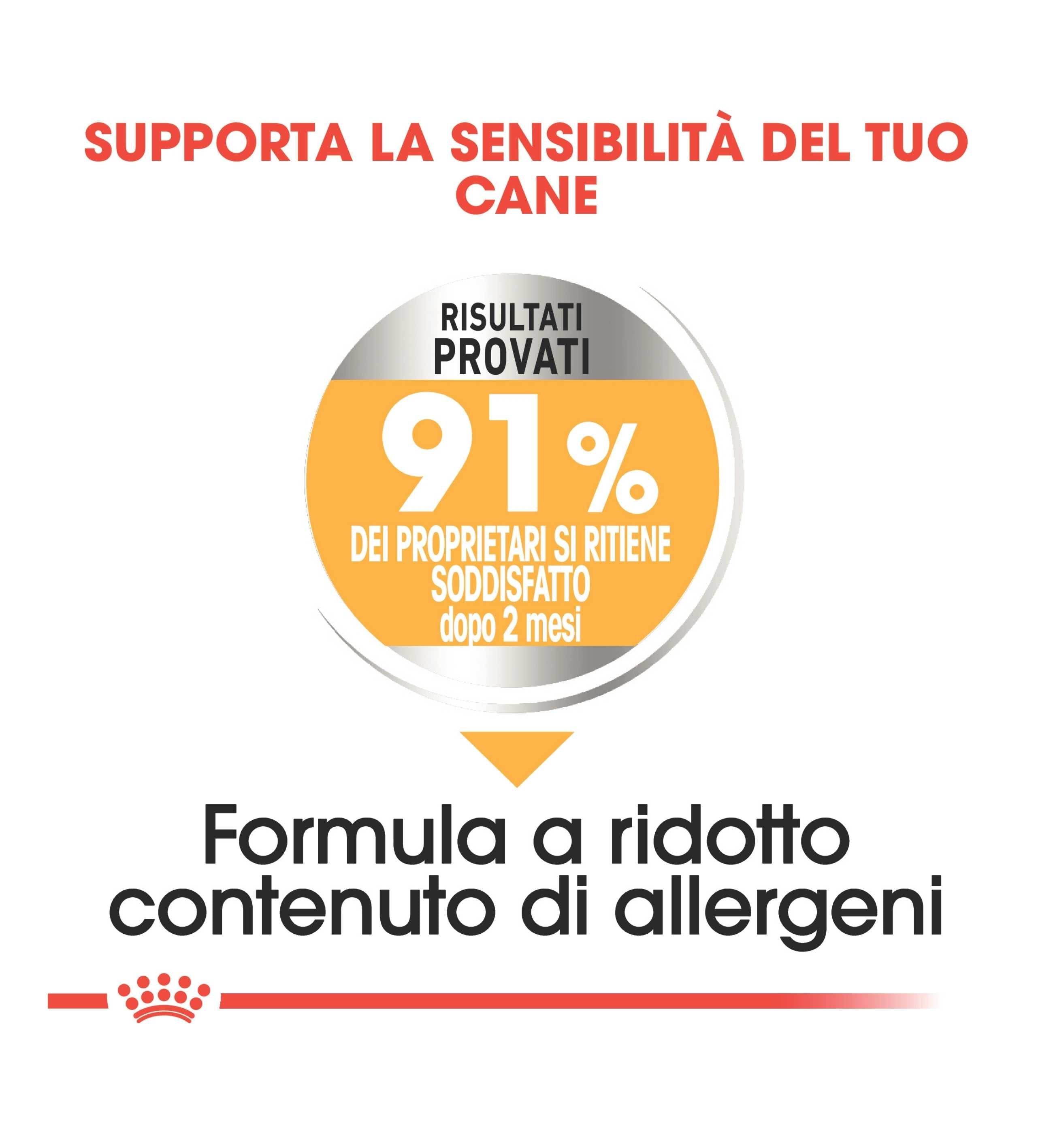 ROYAL CANIN CANE MINI DERMACOMFORT