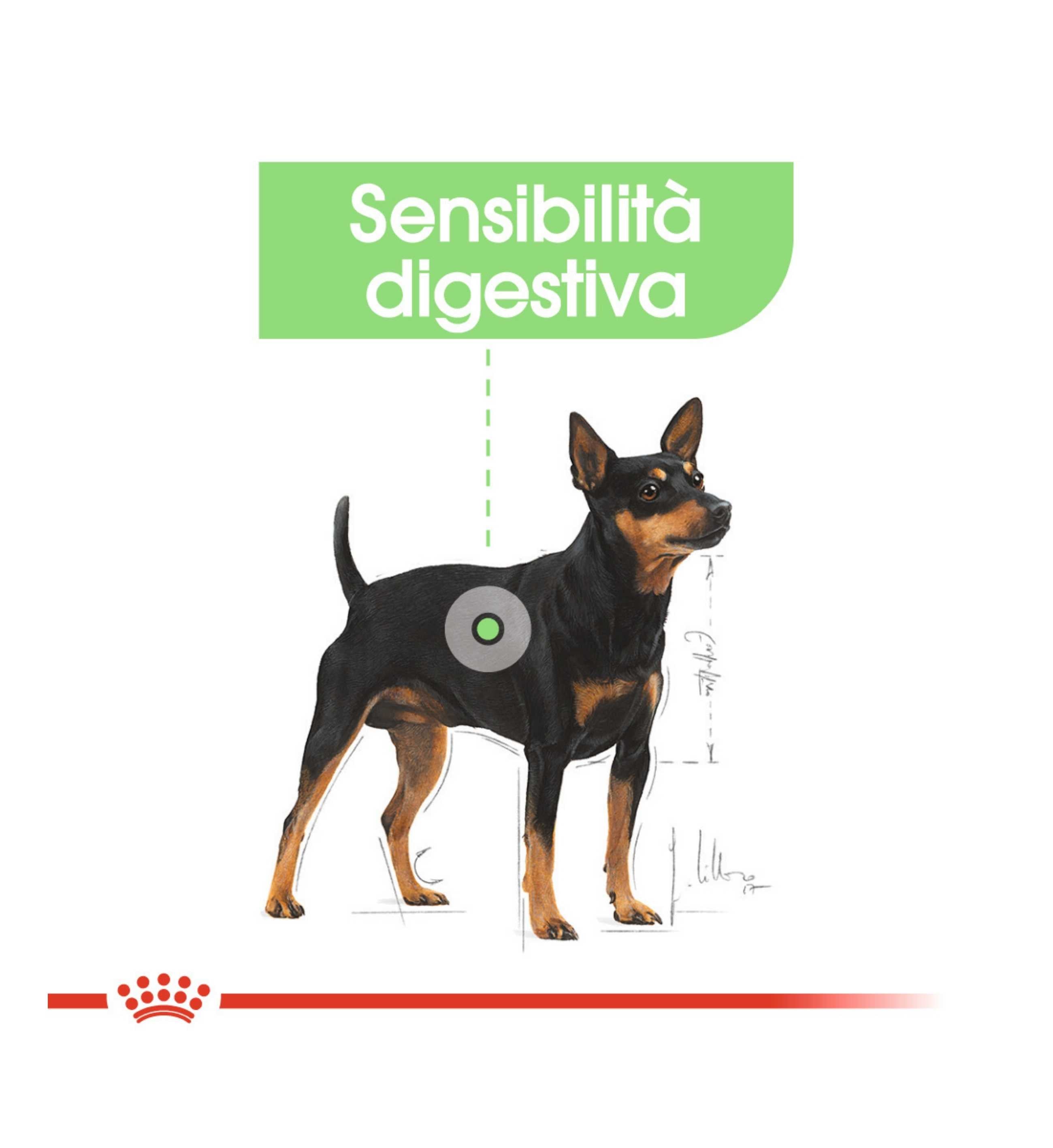 ROYAL CANIN CANE MINI DIGESTIVE CARE