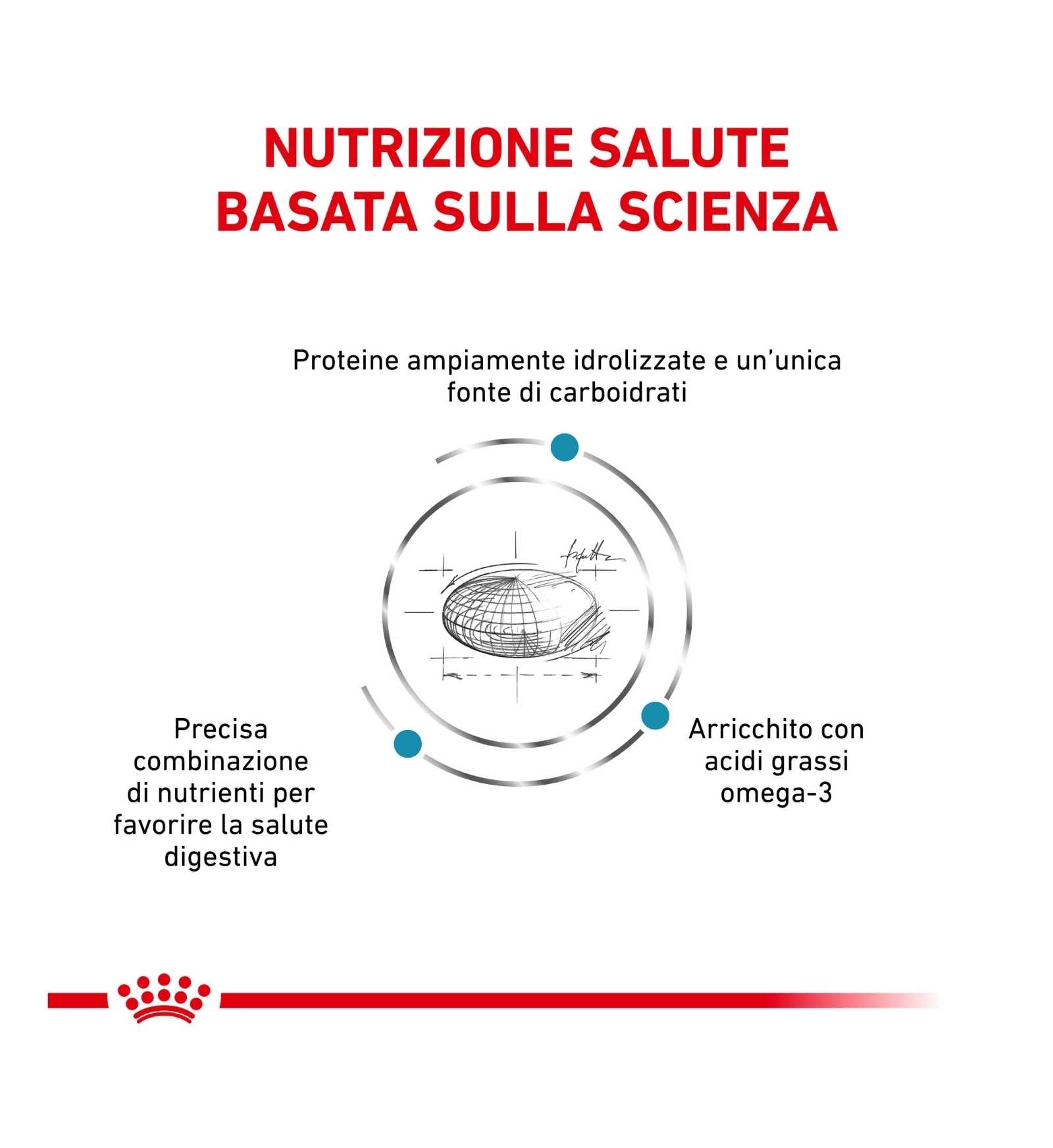 TODISC301527_01_2__Server-Mago_Mago4_Custom_Companies_ZOOEXPERT_SRL_Applications_ERP_Items_Files_Images_AllUsers_3170_11.jpg TODISC301527_01 picture