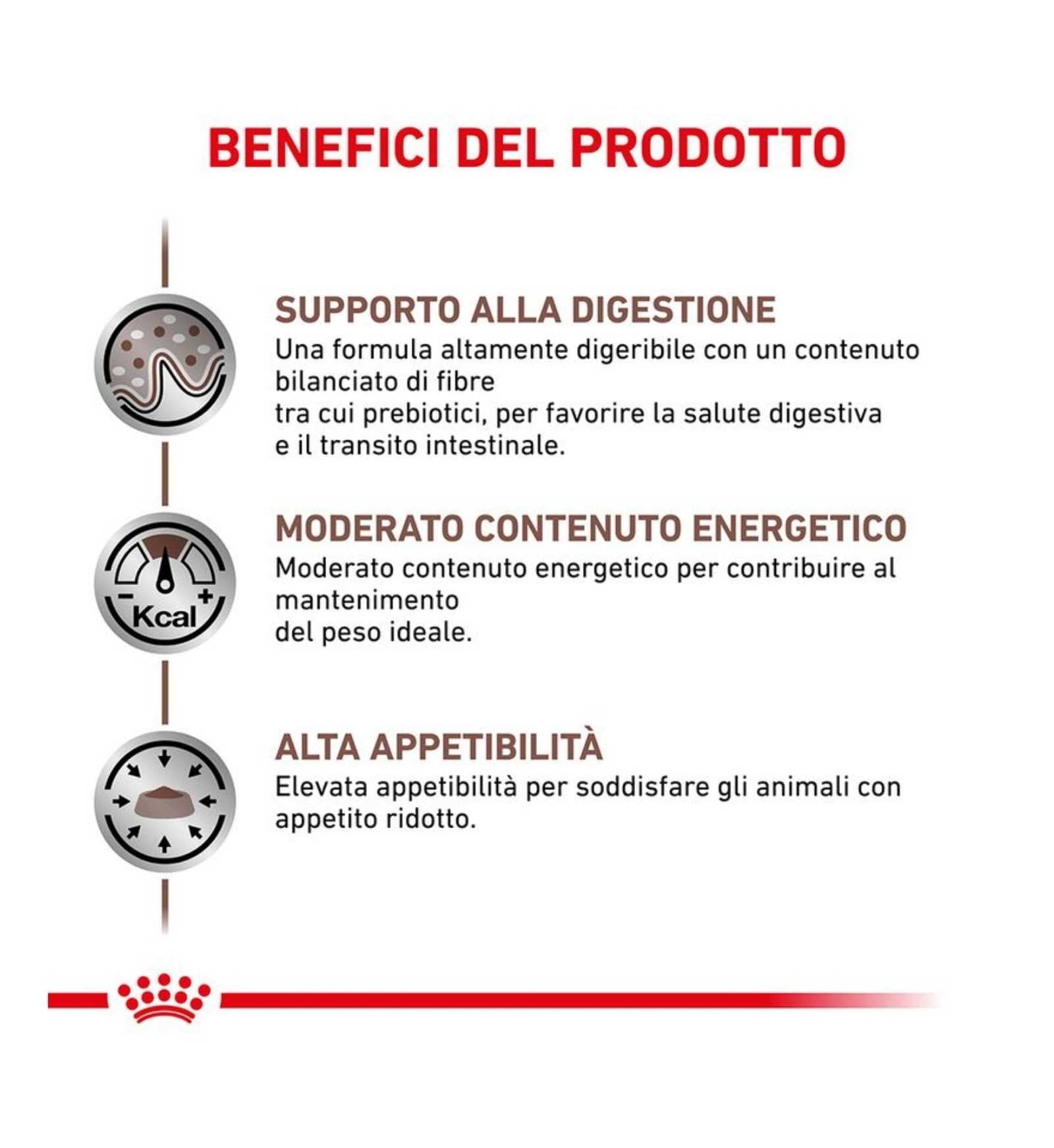 TODISC4113_01_3__Server-Mago_Mago4_Custom_Companies_ZOOEXPERT_SRL_Applications_ERP_Items_Files_Images_AllUsers_4113_16.jpg TODISC4113_01 picture