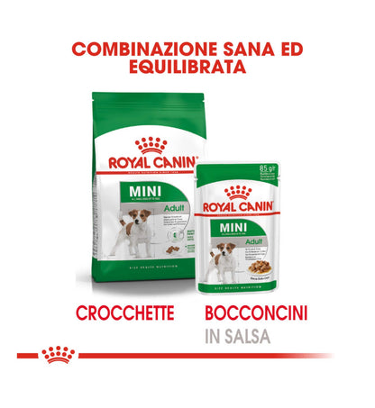 TODISC6047_01_9__Server-Mago_Mago4_Custom_Companies_ZOOEXPERT_SRL_Applications_ERP_Items_Files_Images_AllUsers_6047_39.jpg TODISC6047_01 picture