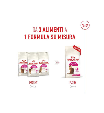 TODISCR475625_11__Server-Mago_Mago4_Custom_Companies_ZOOEXPERT_SRL_Applications_ERP_Items_Files_Images_AllUsers_R475625_40.jpg TODISCR475625 picture