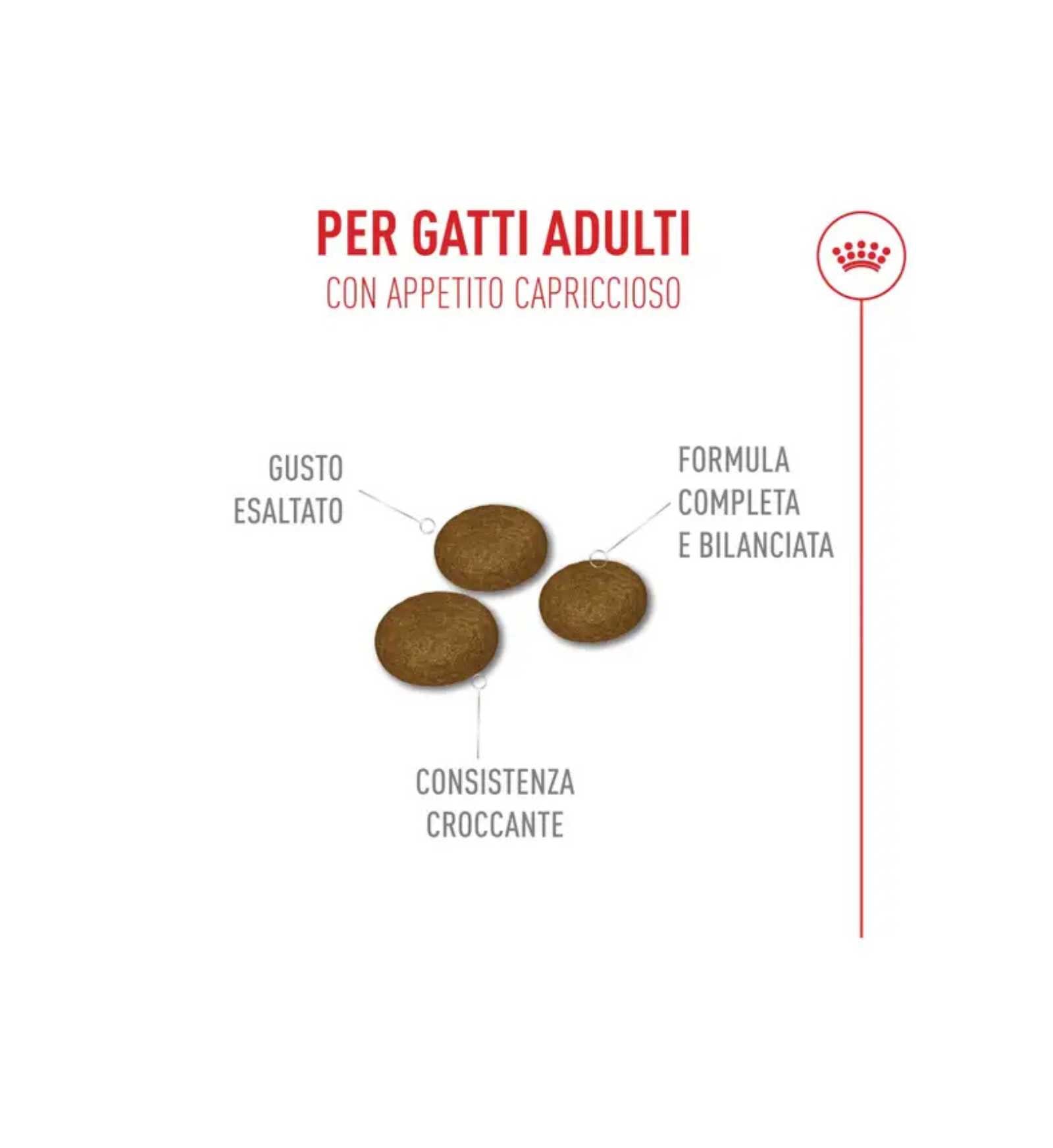 TODISCR475625_3__Server-Mago_Mago4_Custom_Companies_ZOOEXPERT_SRL_Applications_ERP_Items_Files_Images_AllUsers_R475625_05.jpg TODISCR475625 picture