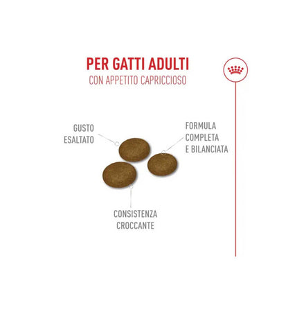 TODISCR475625_3__Server-Mago_Mago4_Custom_Companies_ZOOEXPERT_SRL_Applications_ERP_Items_Files_Images_AllUsers_R475625_05.jpg TODISCR475625 picture