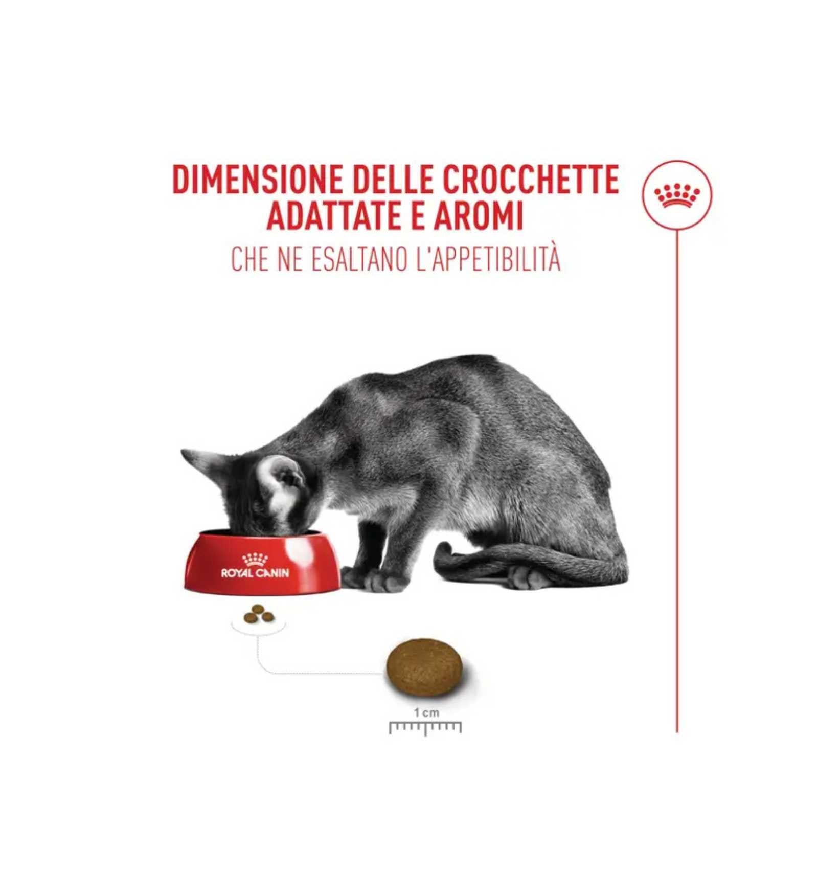 TODISCR475625_4__Server-Mago_Mago4_Custom_Companies_ZOOEXPERT_SRL_Applications_ERP_Items_Files_Images_AllUsers_R475625_12.jpg TODISCR475625 picture