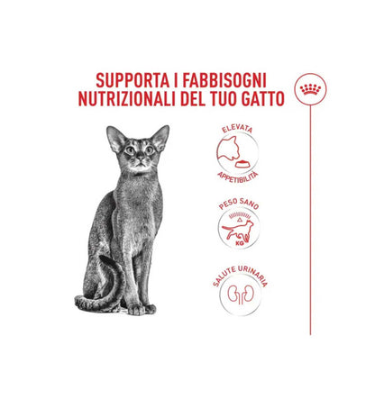 TODISCR475625_5__Server-Mago_Mago4_Custom_Companies_ZOOEXPERT_SRL_Applications_ERP_Items_Files_Images_AllUsers_R475625_16.jpg TODISCR475625 picture