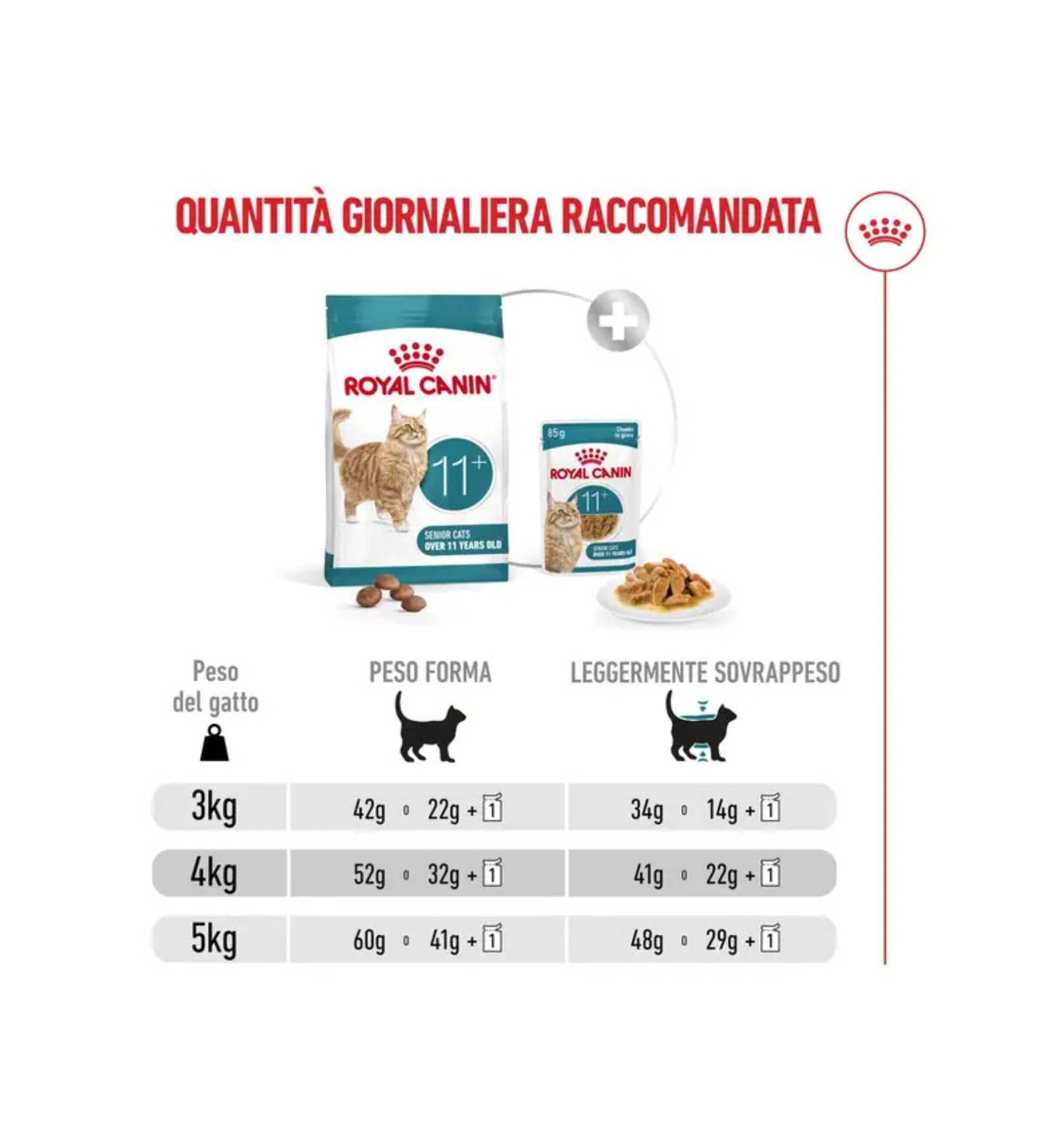 TODISCR475954_7__Server-Mago_Mago4_Custom_Companies_ZOOEXPERT_SRL_Applications_ERP_Items_Files_Images_AllUsers_R475954_30.jpg TODISCR475954 picture