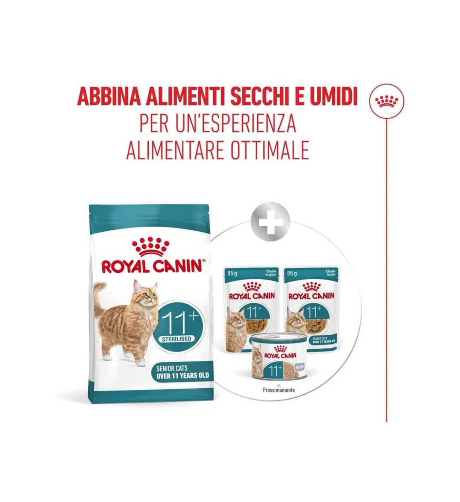 TODISCR475957_11__Server-Mago_Mago4_Custom_Companies_ZOOEXPERT_SRL_Applications_ERP_Items_Files_Images_AllUsers_R475957_39.jpg TODISCR475957 picture