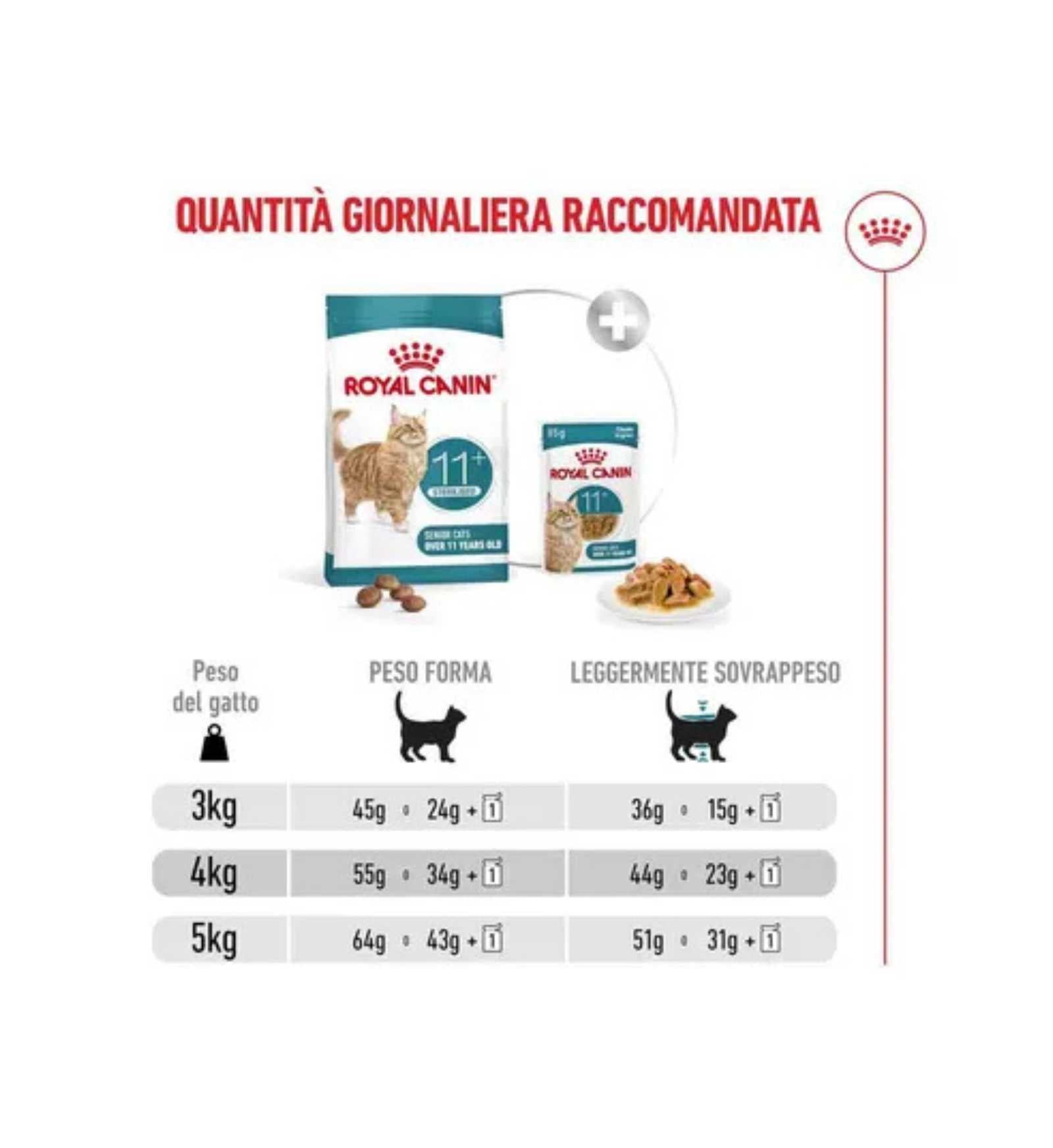 TODISCR475957_8__Server-Mago_Mago4_Custom_Companies_ZOOEXPERT_SRL_Applications_ERP_Items_Files_Images_AllUsers_R475957_30.jpg TODISCR475957 picture