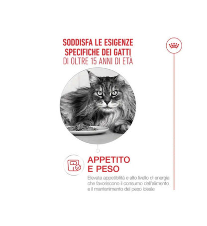 TODISCR475959_4__Server-Mago_Mago4_Custom_Companies_ZOOEXPERT_SRL_Applications_ERP_Items_Files_Images_AllUsers_R475959_06.jpg TODISCR475959 picture