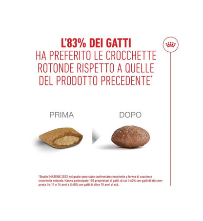 TODISCR475959_6__Server-Mago_Mago4_Custom_Companies_ZOOEXPERT_SRL_Applications_ERP_Items_Files_Images_AllUsers_R475959_15.jpg TODISCR475959 picture