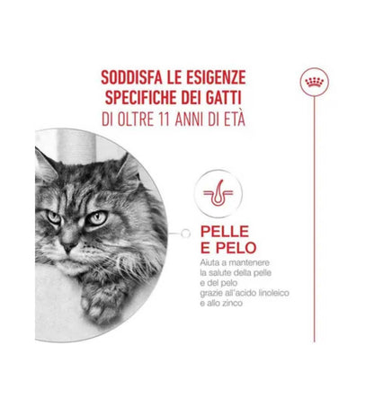 TODISCR601184_3__Server-Mago_Mago4_Custom_Companies_ZOOEXPERT_SRL_Applications_ERP_Items_Files_Images_AllUsers_R601184_05.jpg TODISCR601184 picture