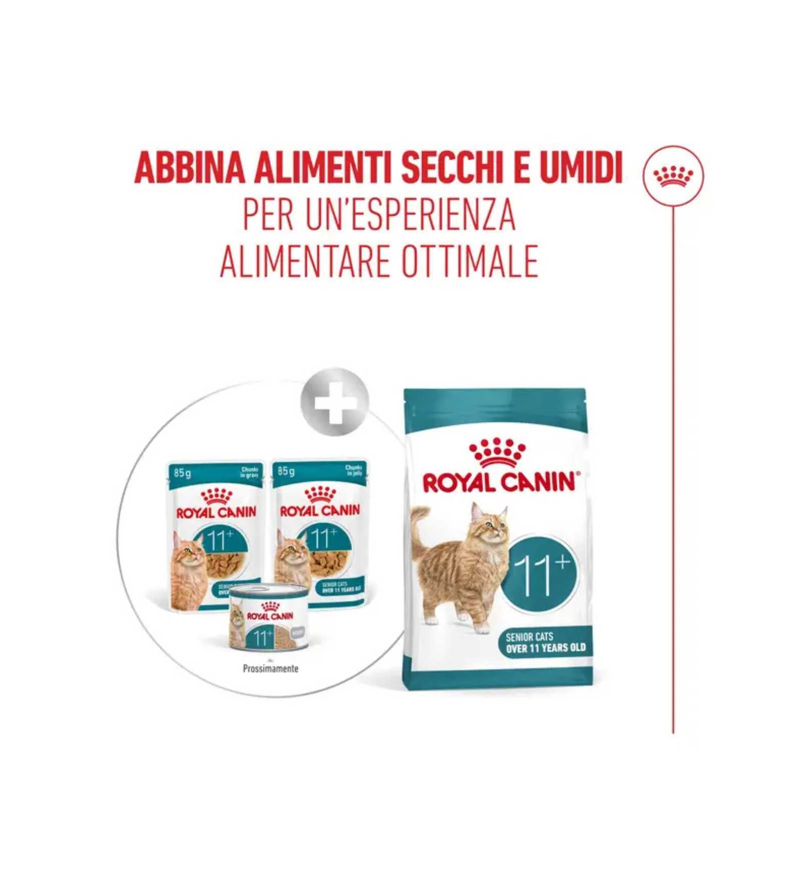 TODISCR601184_7__Server-Mago_Mago4_Custom_Companies_ZOOEXPERT_SRL_Applications_ERP_Items_Files_Images_AllUsers_R601184_39.jpg TODISCR601184 picture