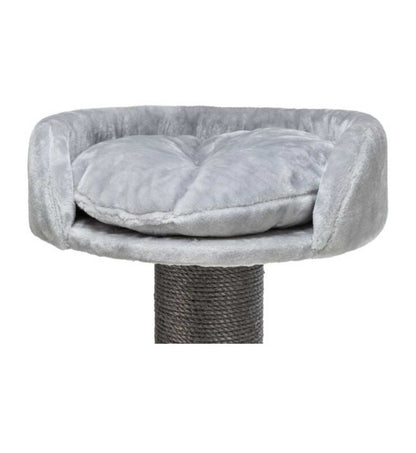 TRIXIETX48127_3__Server-Mago_Mago4_Custom_Companies_ZOOEXPERT_SRL_Applications_ERP_Items_Files_Images_AllUsers_TX48127_26.jpg TRIXIETX48127 picture