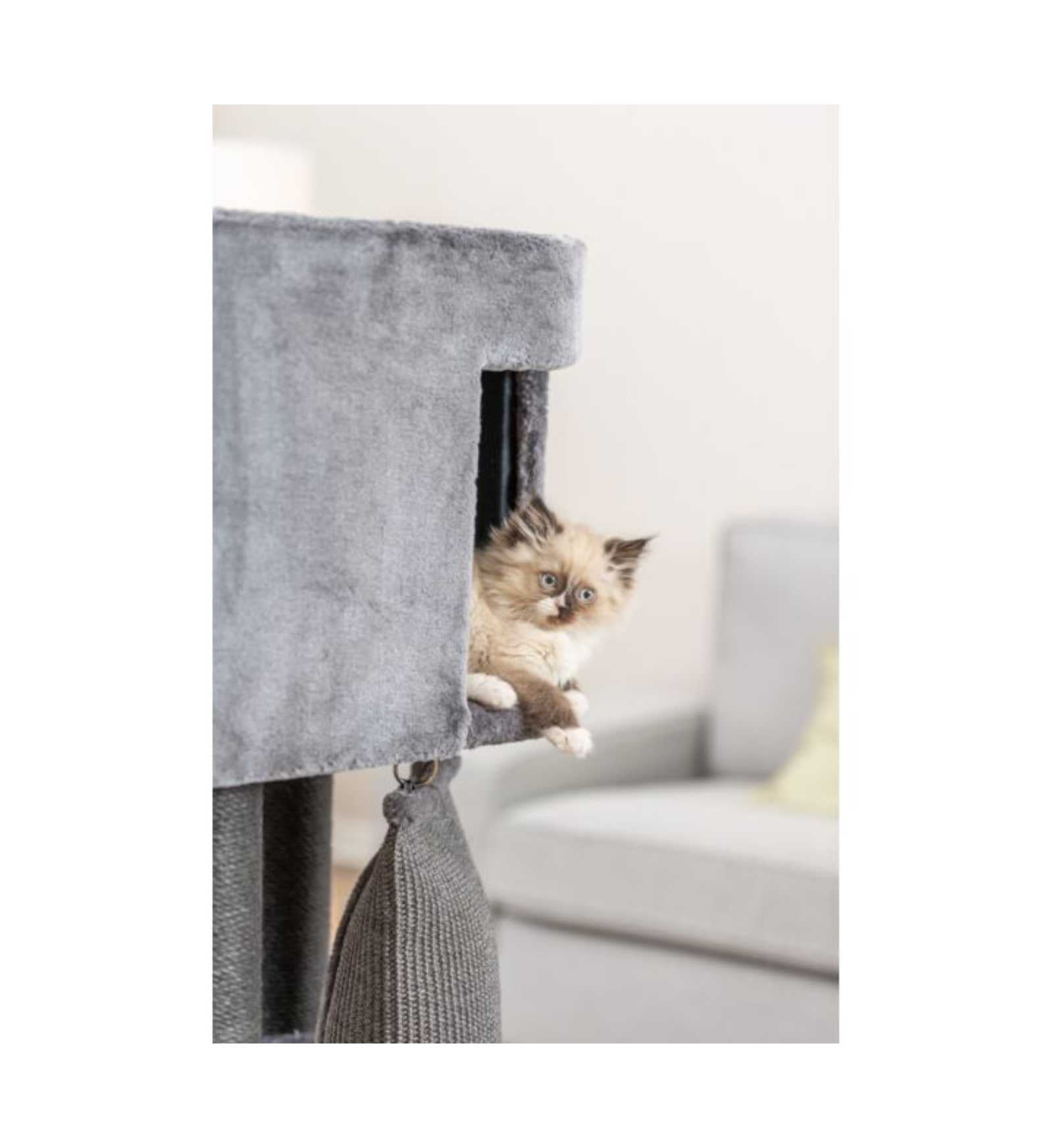 TRIXIETX48145_5__Server-Mago_Mago4_Custom_Companies_ZOOEXPERT_SRL_Applications_ERP_Items_Files_Images_AllUsers_TX48145_28.jpg TRIXIETX48145 picture