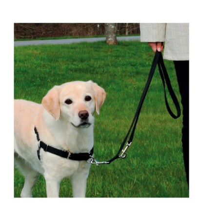 PETTORINA ADDESTRAMENTO EASY WALK PROFESSIONAL MISURA L
