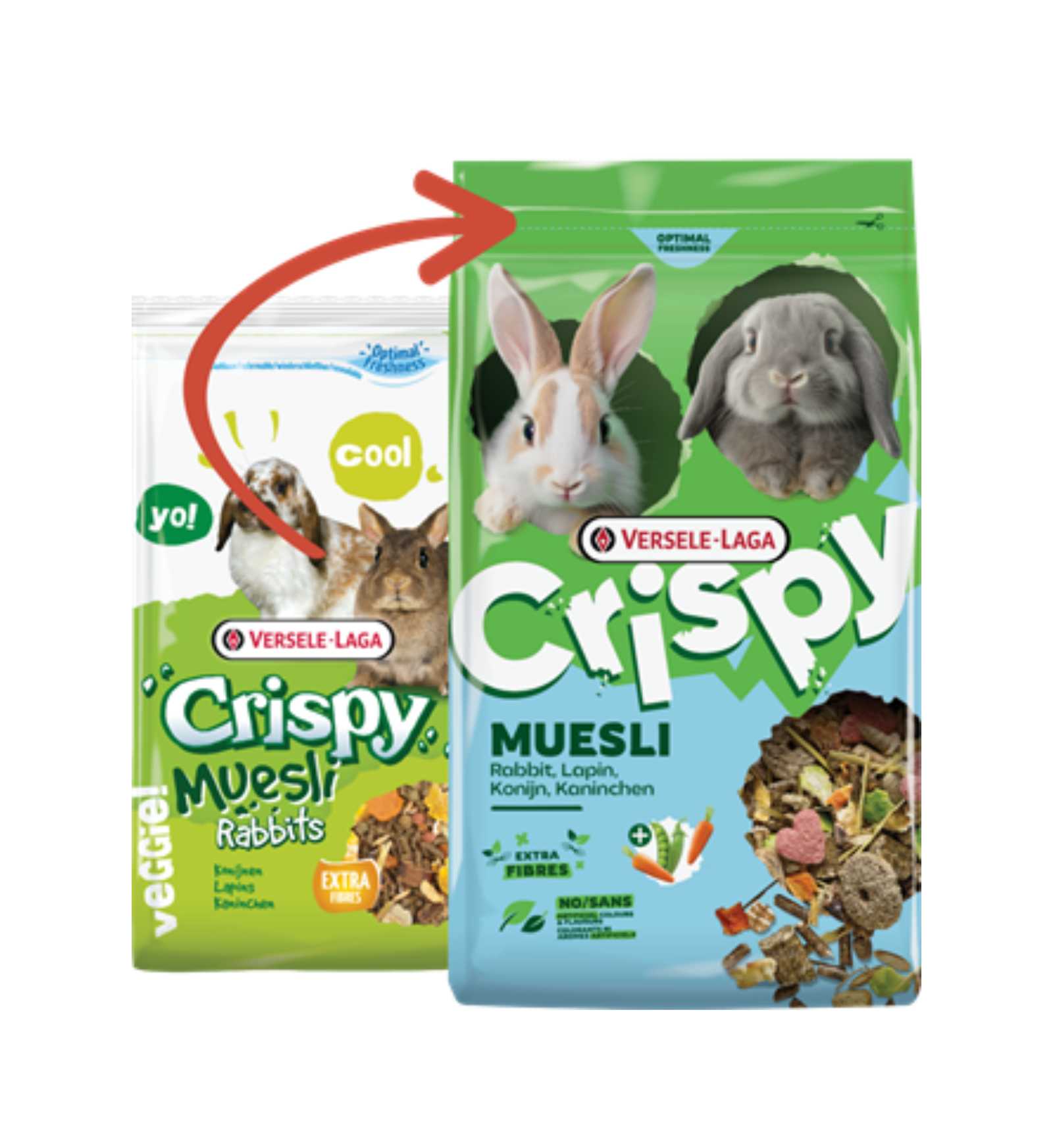 VERSELR461701_3__Server-Mago_Mago4_Custom_Companies_ZOOEXPERT_SRL_Applications_ERP_Items_Files_Images_AllUsers_R461701_40.jpg VERSELR461701 picture
