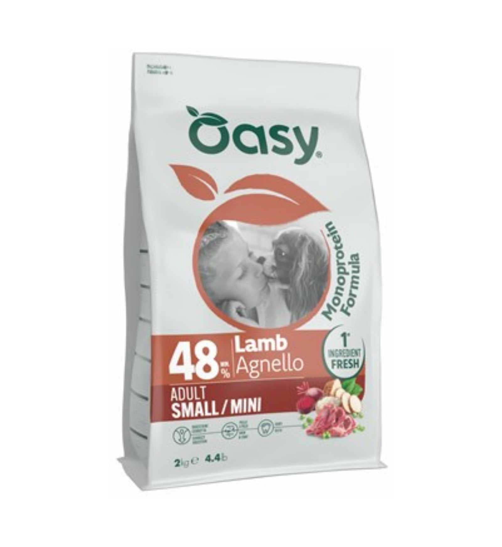 WONDERD0200007A_1__Server-Mago_Mago4_Custom_Companies_ZOOEXPERT_SRL_Applications_ERP_Items_Files_Images_AllUsers_D0200007A_01.jpg WONDERD0200007A picture