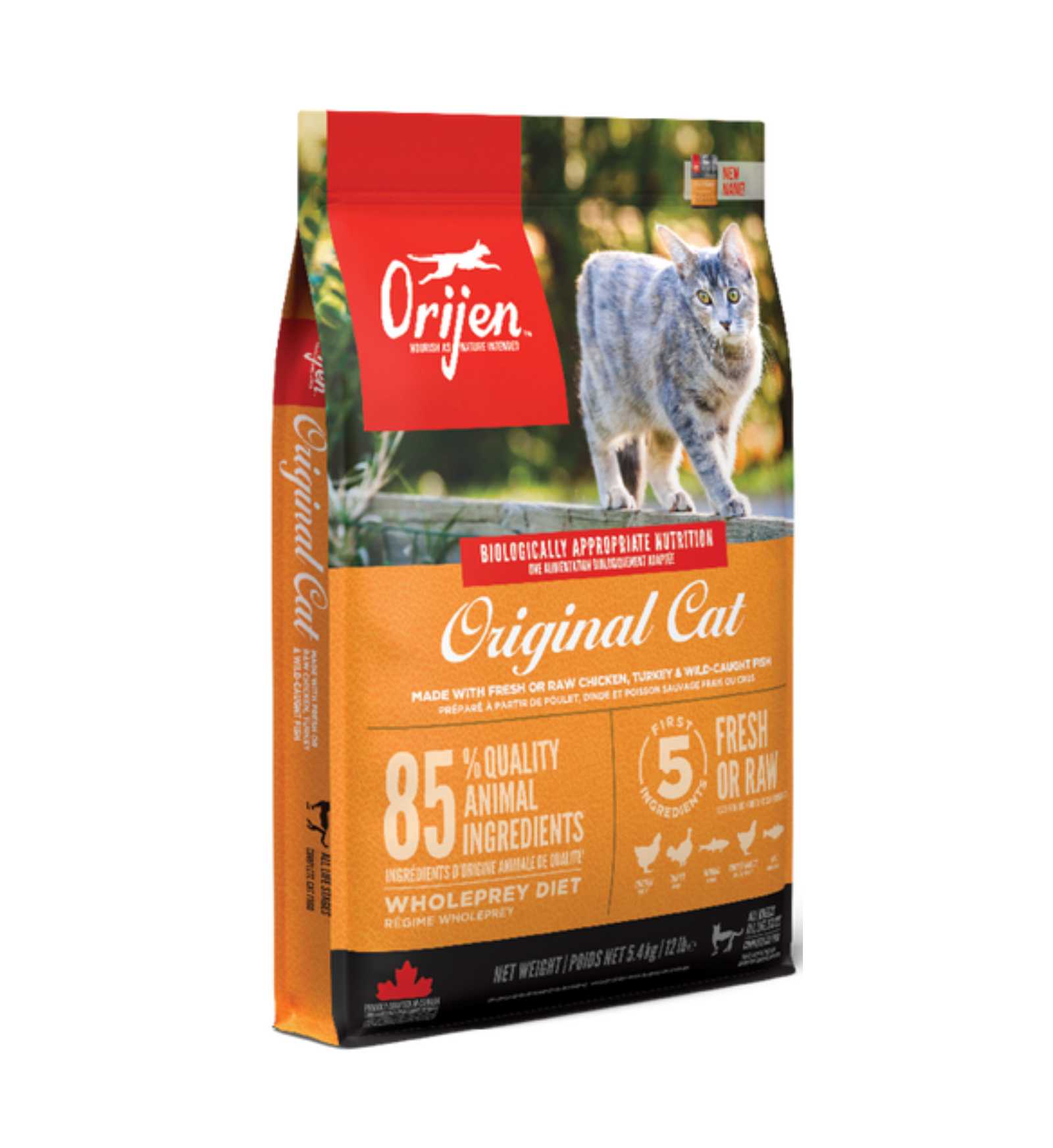 WONDERDRCORI0180_1__Server-Mago_Mago4_Custom_Companies_ZOOEXPERT_SRL_Applications_ERP_Items_Files_Images_AllUsers_DRCORI0180_01.jpg WONDERDRCORI0180 picture