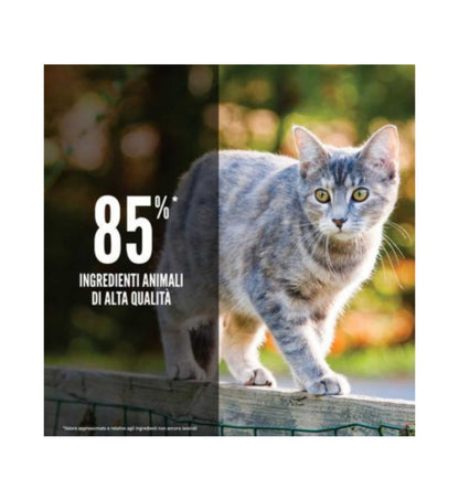 WONDERDRCORI0180_3__Server-Mago_Mago4_Custom_Companies_ZOOEXPERT_SRL_Applications_ERP_Items_Files_Images_AllUsers_DRCORI0180_25.jpg WONDERDRCORI0180 picture