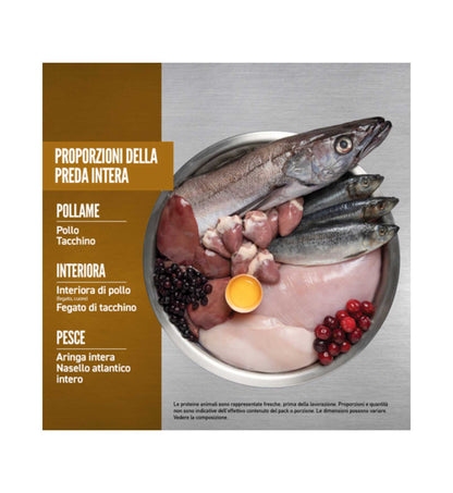 WONDERDRCORI0180_4__Server-Mago_Mago4_Custom_Companies_ZOOEXPERT_SRL_Applications_ERP_Items_Files_Images_AllUsers_DRCORI0180_26.jpg WONDERDRCORI0180 picture