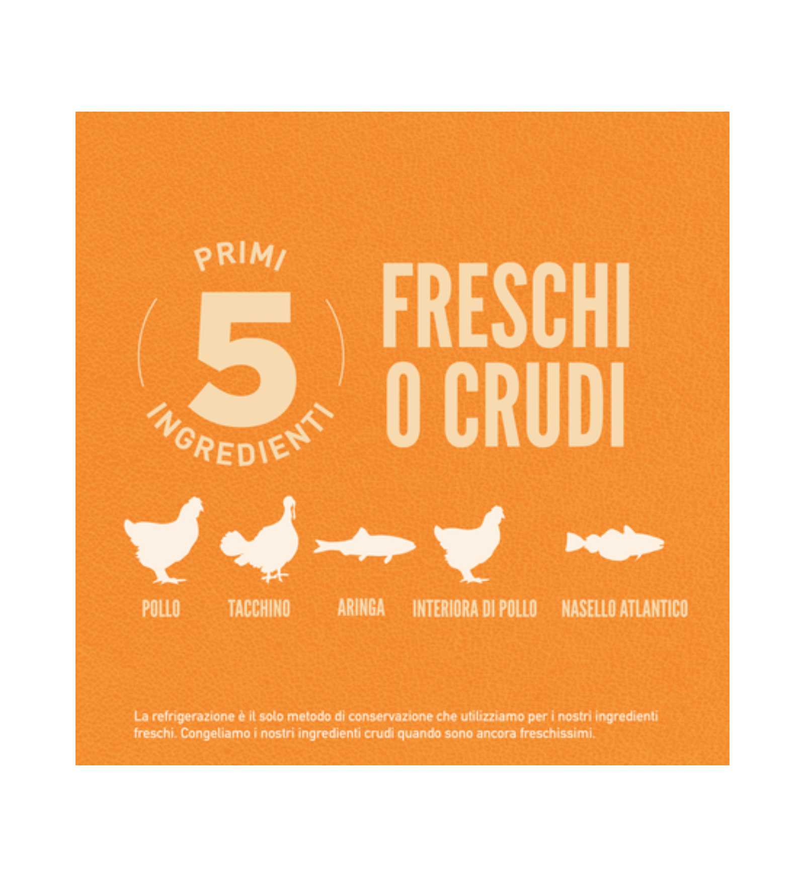 WONDERDRCORI0180_5__Server-Mago_Mago4_Custom_Companies_ZOOEXPERT_SRL_Applications_ERP_Items_Files_Images_AllUsers_DRCORI0180_27.jpg WONDERDRCORI0180 picture