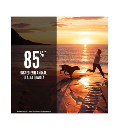 WONDERDRDFIT1140_3__Server-Mago_Mago4_Custom_Companies_ZOOEXPERT_SRL_Applications_ERP_Items_Files_Images_AllUsers_DRDFIT1140_25.jpg WONDERDRDFIT1140 picture