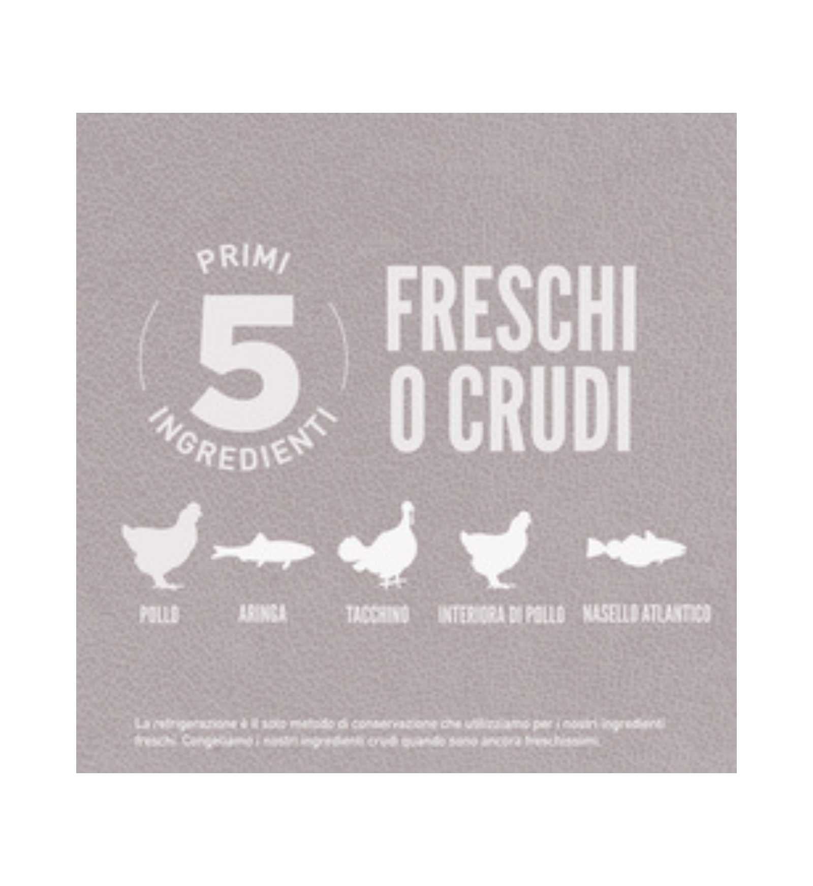 WONDERDRDFIT1140_5__Server-Mago_Mago4_Custom_Companies_ZOOEXPERT_SRL_Applications_ERP_Items_Files_Images_AllUsers_DRDFIT1140_27.jpg WONDERDRDFIT1140 picture