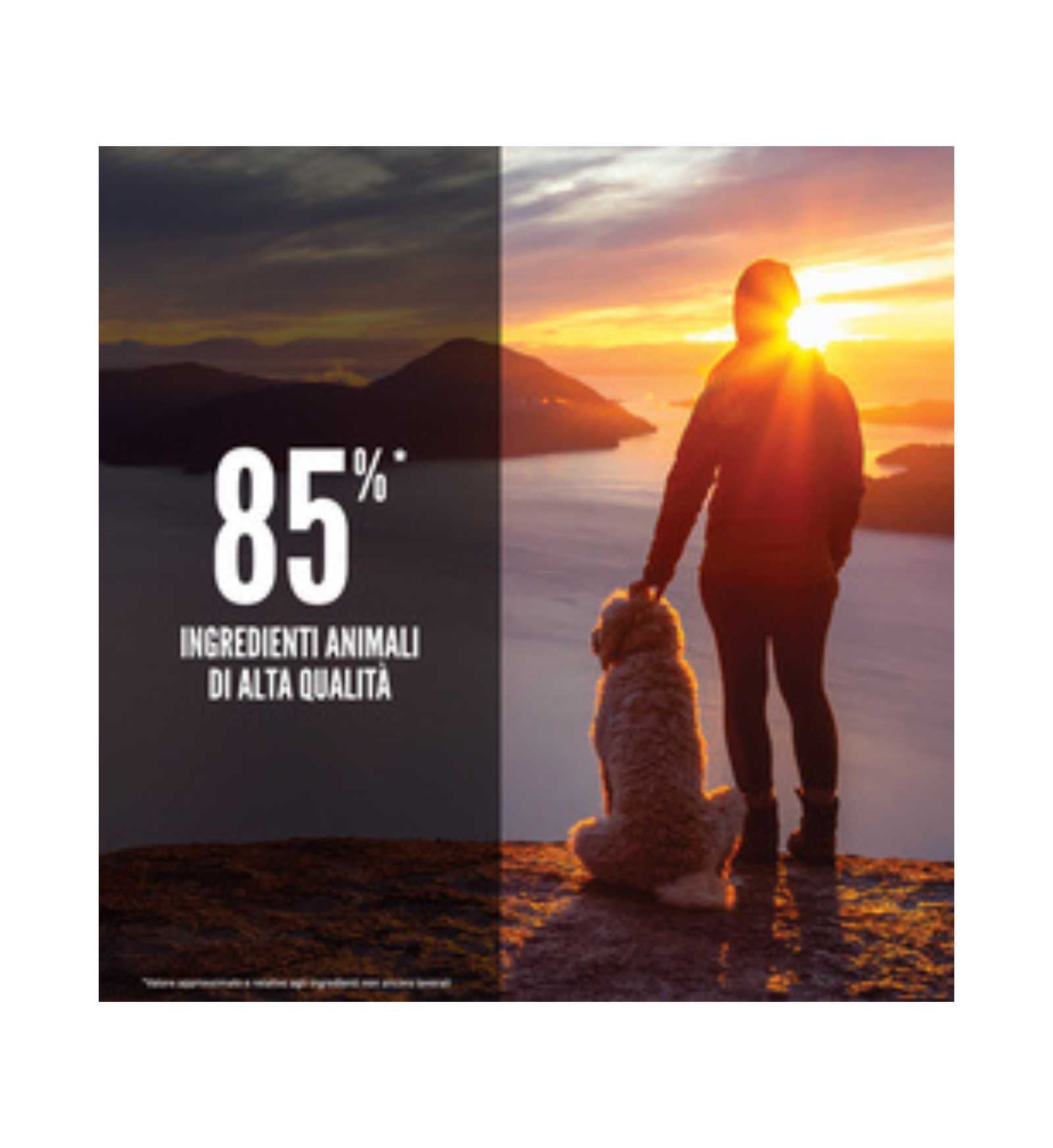 WONDERDRDSEN0600_3__Server-Mago_Mago4_Custom_Companies_ZOOEXPERT_SRL_Applications_ERP_Items_Files_Images_AllUsers_DRDSEN0600_25.jpg WONDERDRDSEN0600 picture