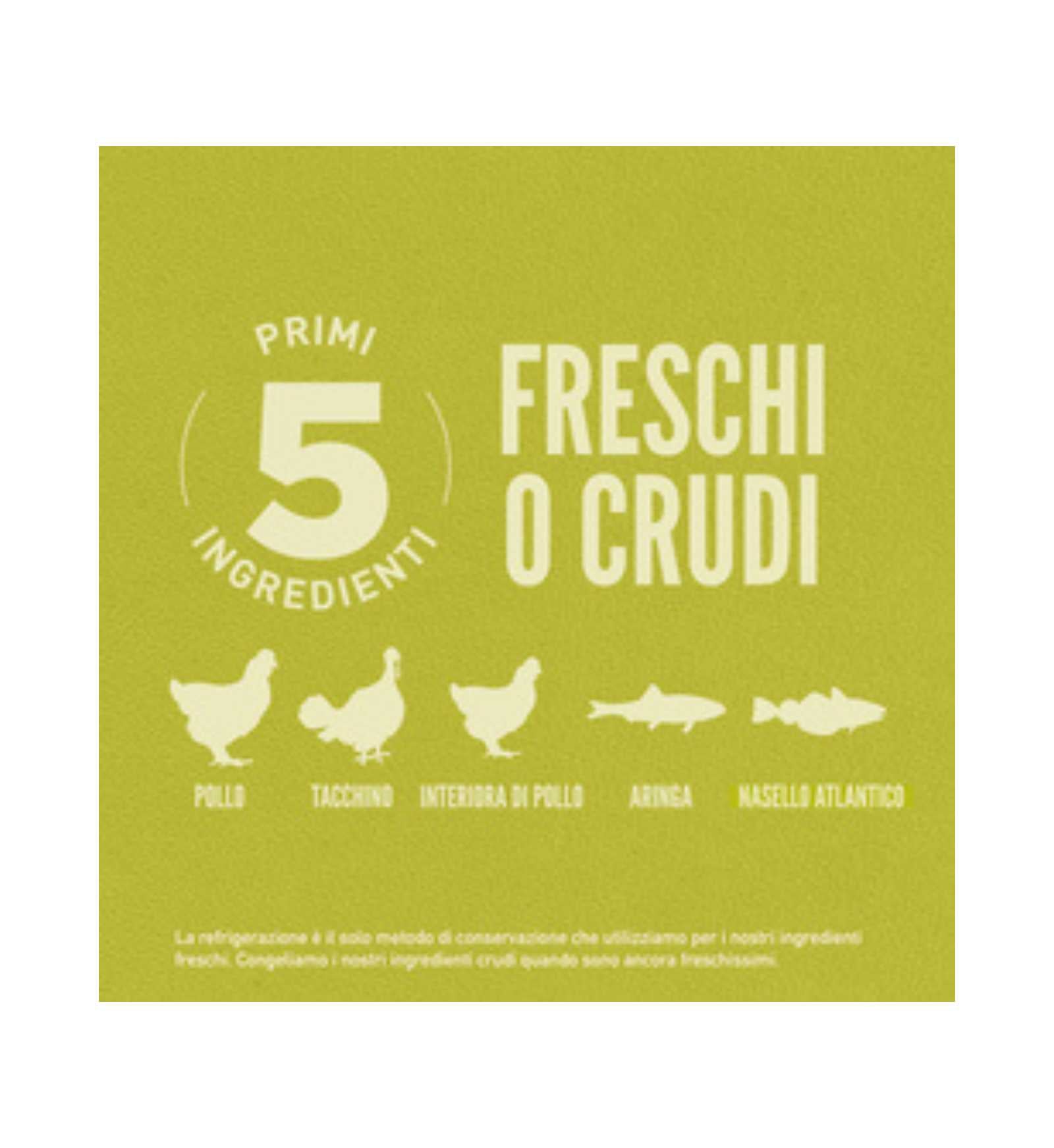 WONDERDRDSEN0600_5__Server-Mago_Mago4_Custom_Companies_ZOOEXPERT_SRL_Applications_ERP_Items_Files_Images_AllUsers_DRDSEN0600_27.jpg WONDERDRDSEN0600 picture