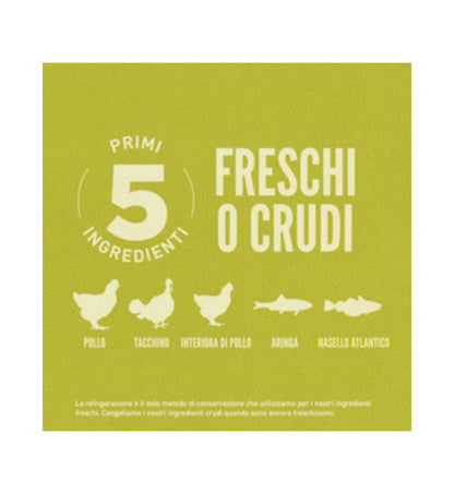 WONDERDRDSEN0600_5__Server-Mago_Mago4_Custom_Companies_ZOOEXPERT_SRL_Applications_ERP_Items_Files_Images_AllUsers_DRDSEN0600_27.jpg WONDERDRDSEN0600 picture