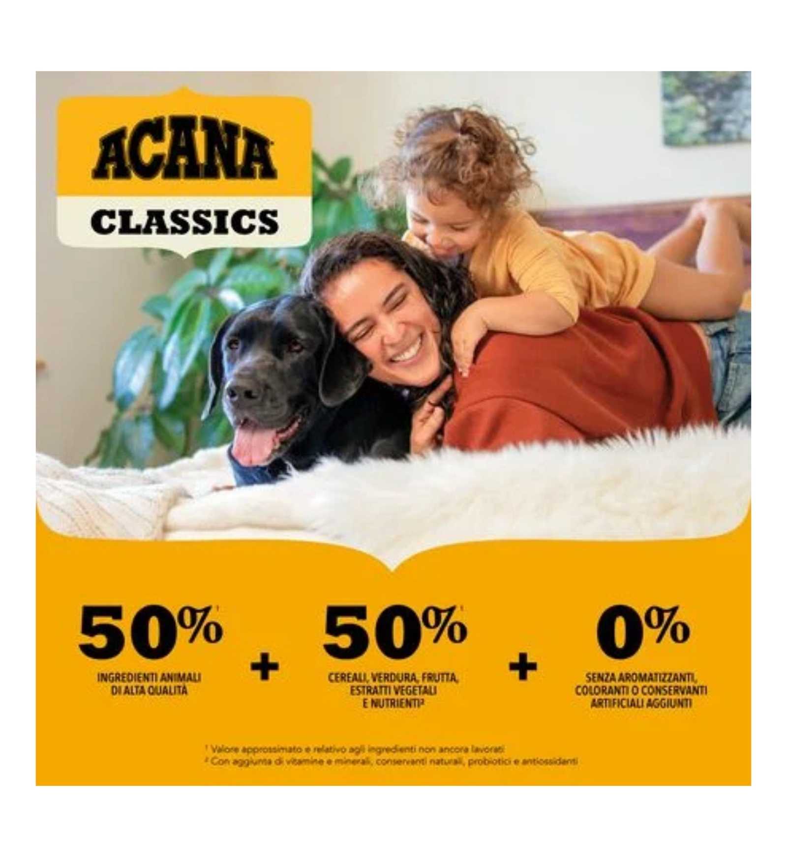 WONDERRDPPO1450_01_4__Server-Mago_Mago4_Custom_Companies_ZOOEXPERT_SRL_Applications_ERP_Items_Files_Images_AllUsers_ACDRDPPO1450_25.jpg WONDERRDPPO1450_01 picture