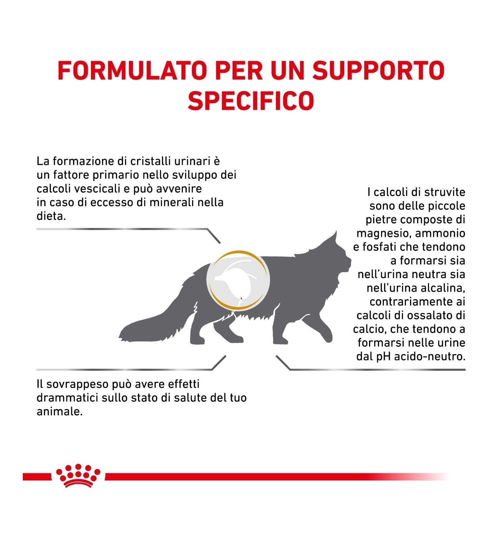 ROYAL CANIN GATTO DIET URINARY MODERATE CALORIE