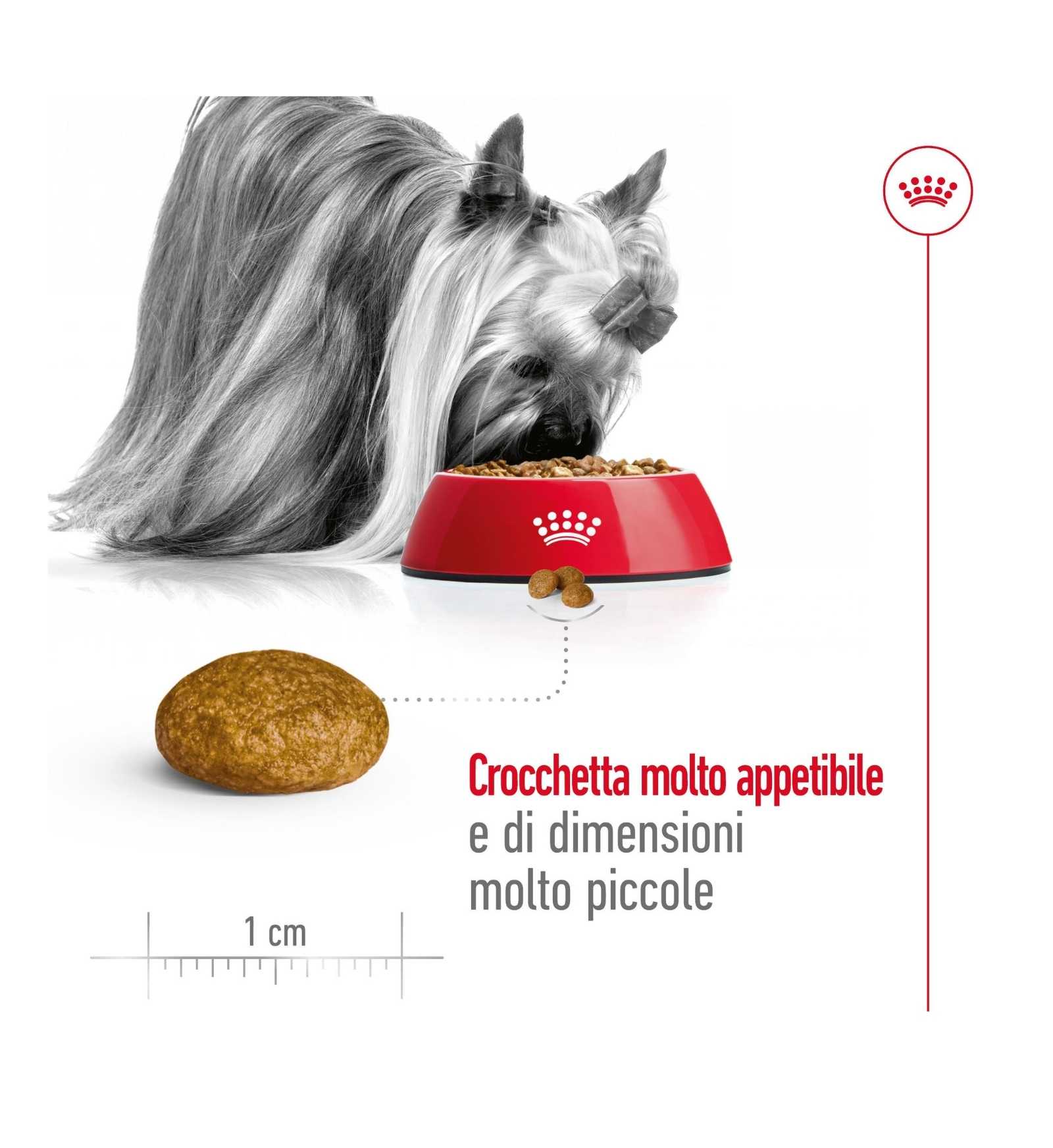 ROYAL CANIN CANE ADULT X-SMALL