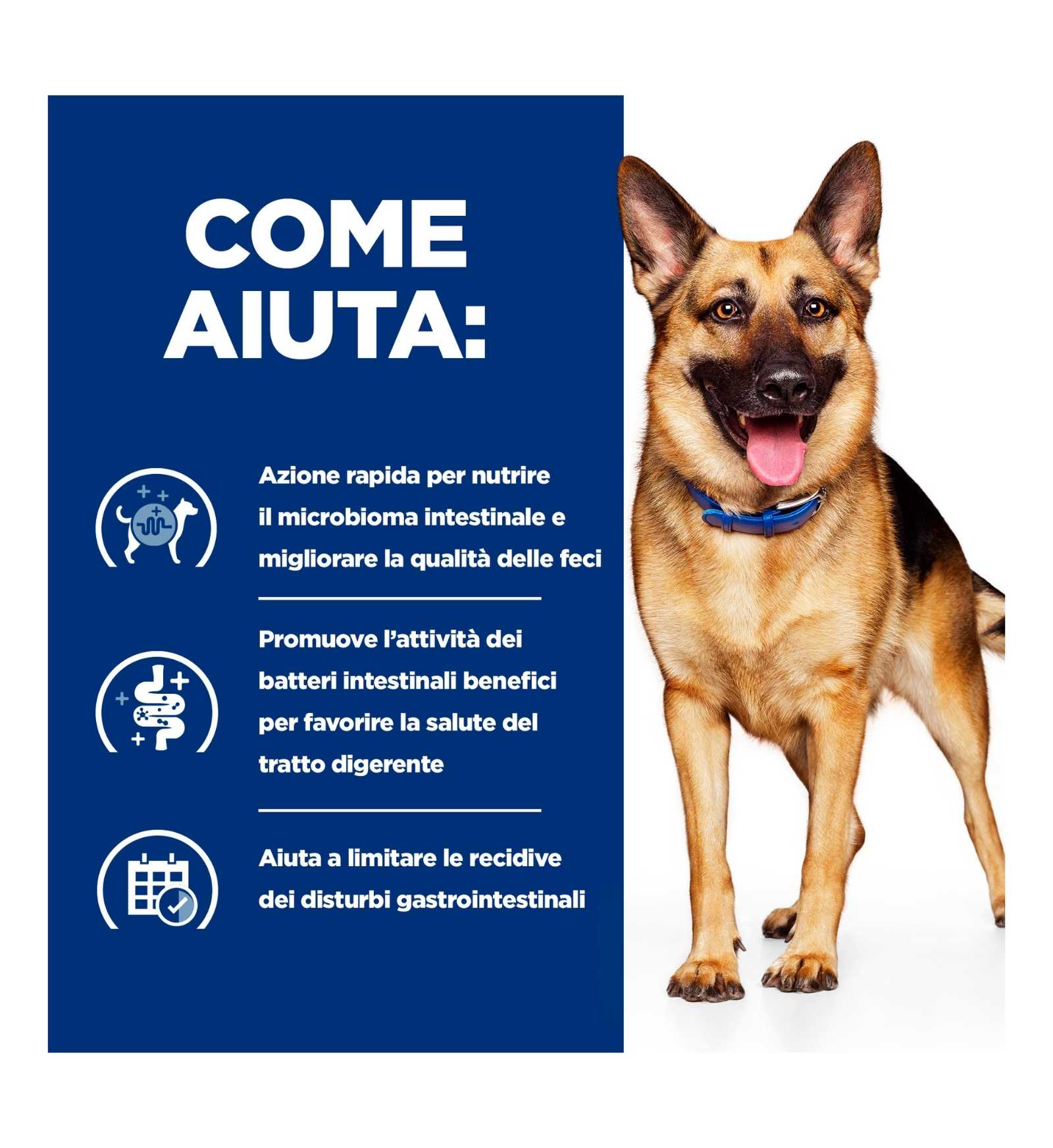 HILL'S  PRESCRIPTION DIET CANE  GASTROINTESTINAL BIOME DIGESTIVE / FIBRE CARE POLLO IN LATTINA