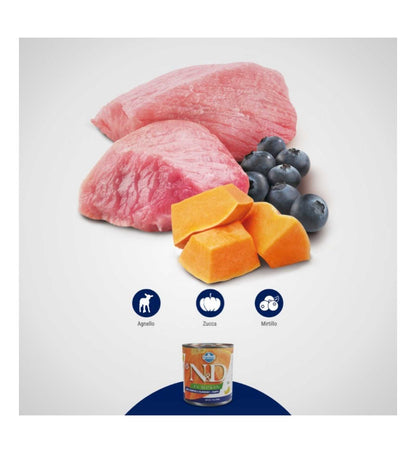 FARMINA N&D DELICIOUS GRAIN FREE CANE PUPPY PUMPKIN MINI AGNELLO ZUCCA MIRTILLO DA 140 GR IN LATTINA