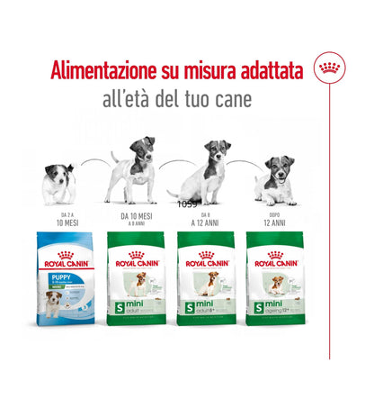 ROYAL CANIN CANE ADULT MINI 8 +