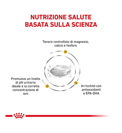 ROYAL CANIN CANE DIET URINARY S/O