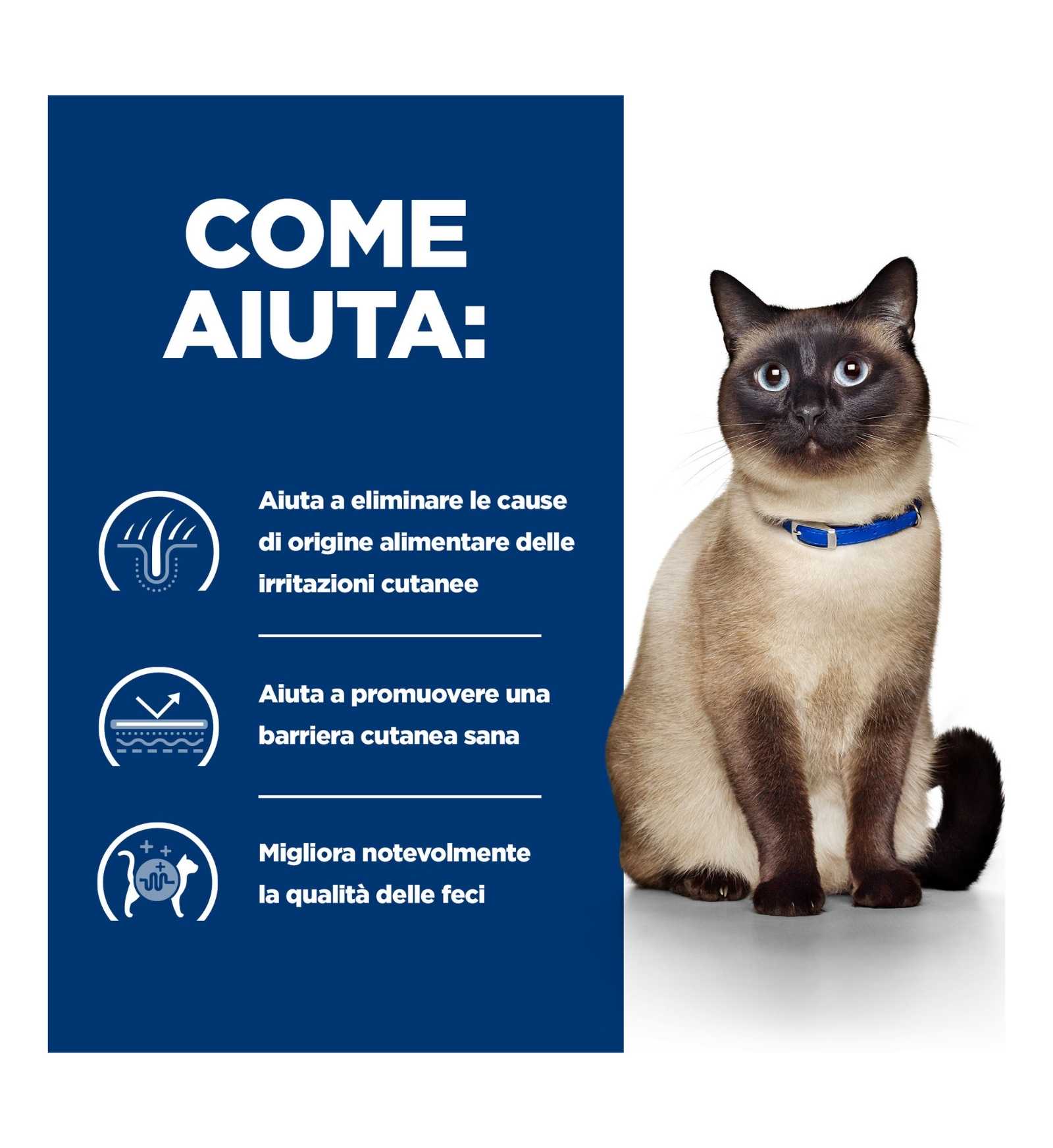 HILL'S PRESCRIPTION DIET GATTO Z/D DA 156 GR IN LATTINA