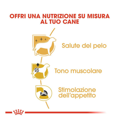 ROYAL CANIN CANE BREED BARBONCINO ADULT DA 85 GR IN BUSTA