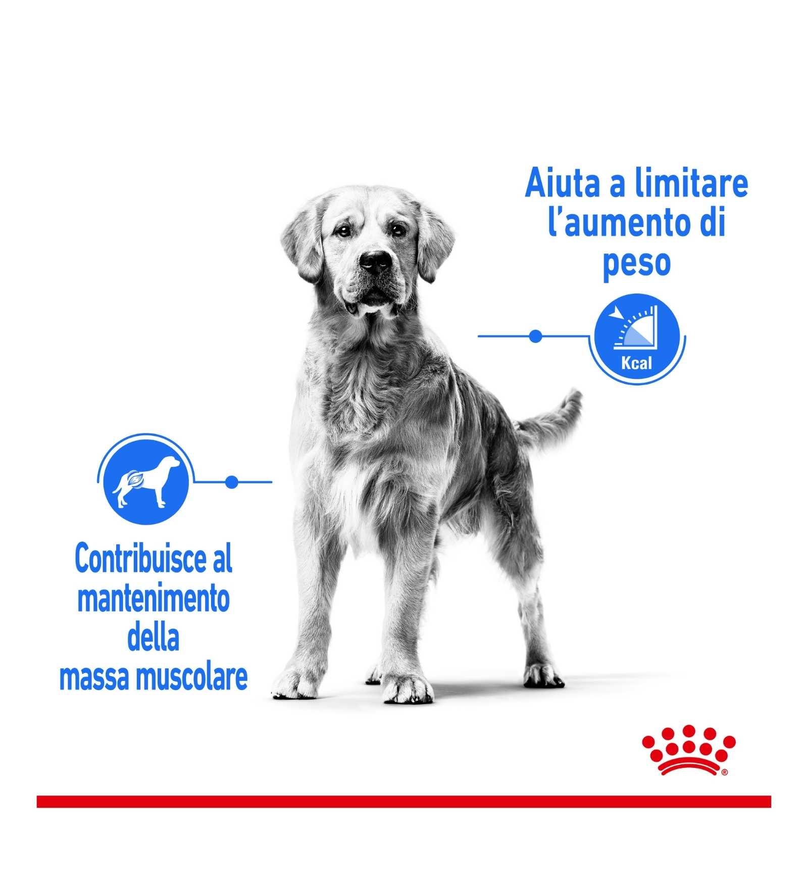 ROYAL CANIN CANE ADULT MAXI LIGHT WEIGHT CARE DA 12 KG