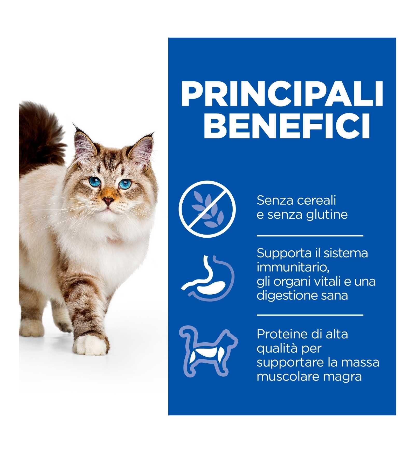 HILL'S SCIENCE PLAN GATTO ADULT NO GRAIN AL POLLO DA 1,5 KG