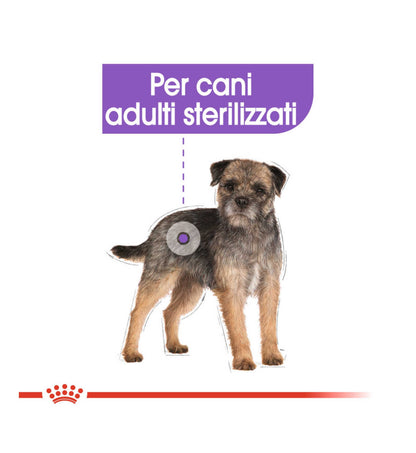 ROYAL CANIN CANE MINI STERILISED