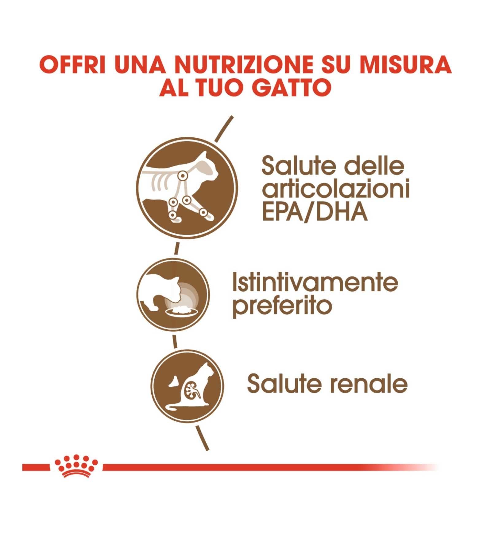 ROYAL CANIN GATTO AGEING 12+ GRAVY DA 85 GR IN BUSTA