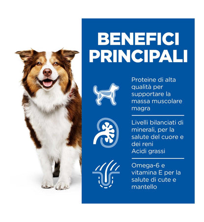 HILL'S SCIENCE PLAN CANE MATURE MEDIUM AL POLLO