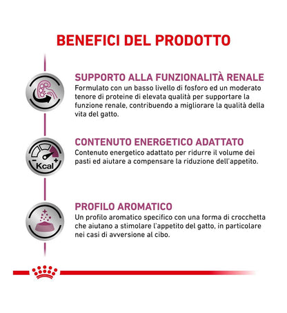 ROYAL CANIN GATTO DIET RENAL