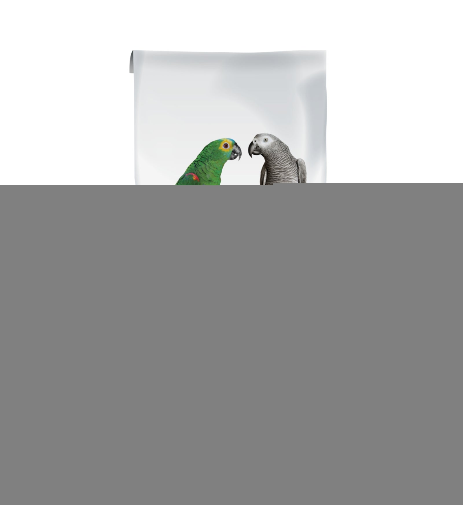 VERSELE LAGA NUTRIBIRD P15 10KG ORIGINAL MANTENIMENTO